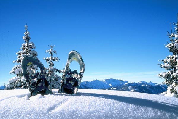 haus ruf ferienwohnung apartment windischgarsten schneeschuhwandern nationalpark kalpapen