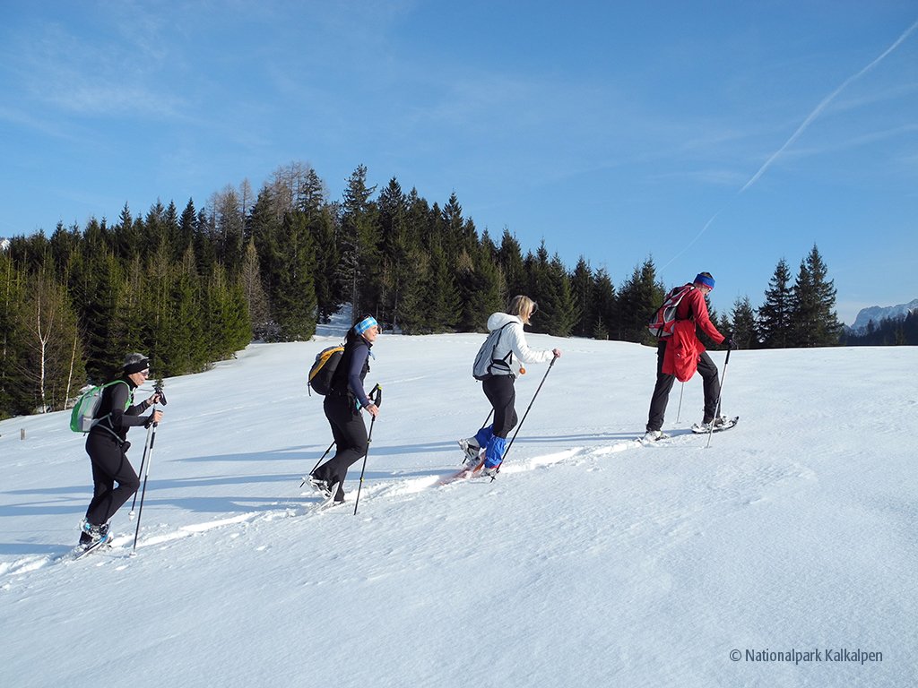 haus ruf ferienwohnung apartment windischgarsten schneeschuhwandern nationalpark kalpapen